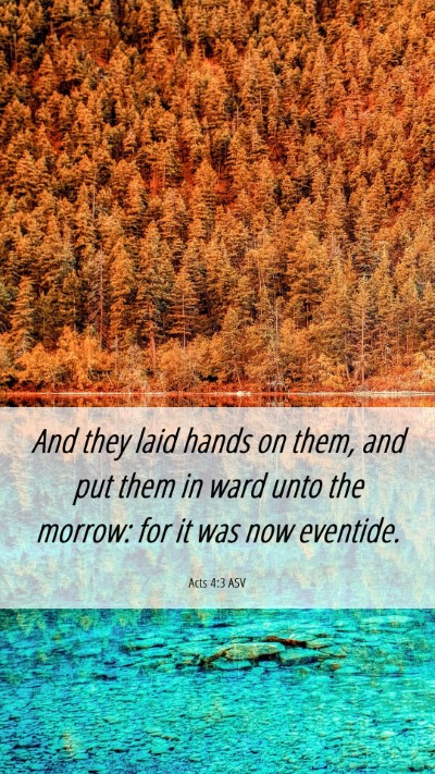 Picture 06 - Acts 4:3 ASV Mobile Phone Wallpaper - And they laid hands on them, and put them in ward - Mobile Bible Verse Wallpaper