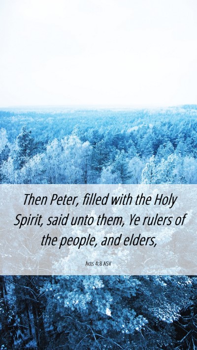 Picture 06 - Acts 4:8 ASV Mobile Phone Wallpaper - Then Peter, filled with the Holy Spirit, said - Mobile Bible Verse Wallpaper