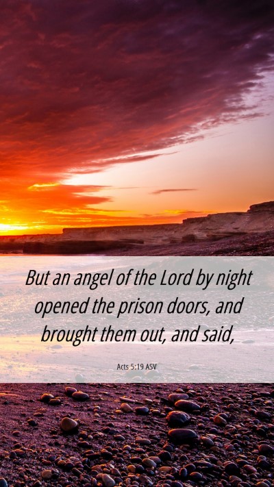Picture 06 - Acts 5:19 ASV Mobile Phone Wallpaper - But an angel of the Lord by night opened the - Mobile Bible Verse Wallpaper