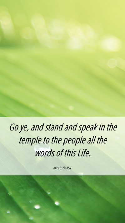 Picture 06 - Acts 5:20 ASV Mobile Phone Wallpaper - Go ye, and stand and speak in the temple to the - Mobile Bible Verse Wallpaper
