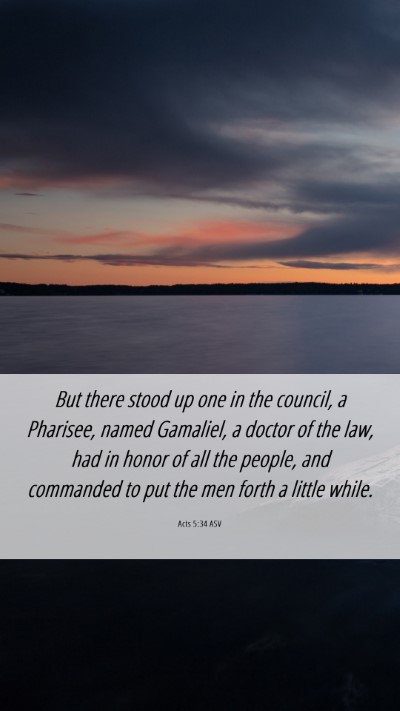 Picture 06 - Acts 5:34 ASV Mobile Phone Wallpaper - But there stood up one in the council, a - Mobile Bible Verse Wallpaper
