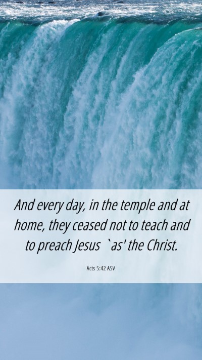 Picture 06 - Acts 5:42 ASV Mobile Phone Wallpaper - And every day, in the temple and at home, they - Mobile Bible Verse Wallpaper
