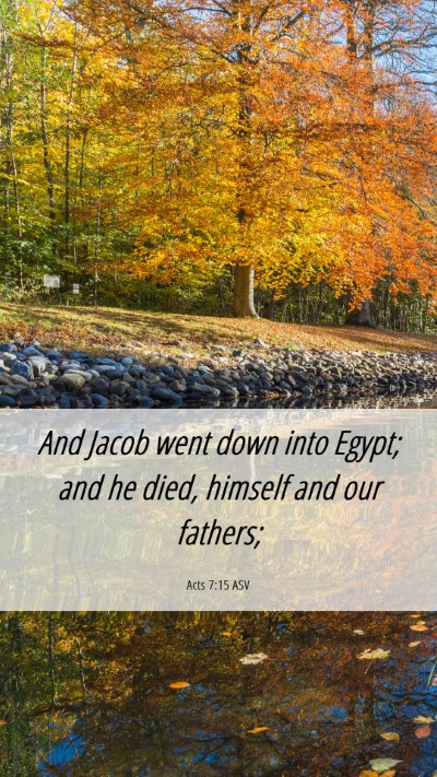 Picture 06 - Acts 7:15 ASV Mobile Phone Wallpaper - And Jacob went down into Egypt; and he died, - Mobile Bible Verse Wallpaper