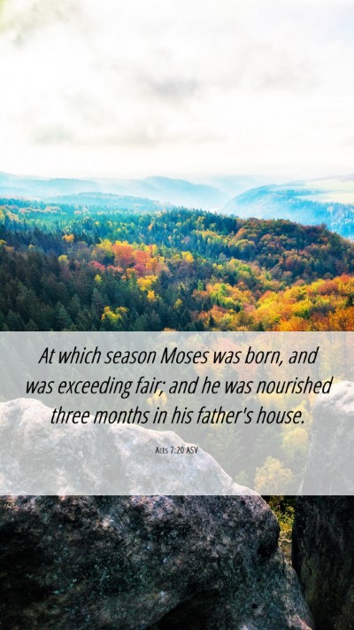 Picture 06 - Acts 7:20 ASV Mobile Phone Wallpaper - At which season Moses was born, and was exceeding - Mobile Bible Verse Wallpaper