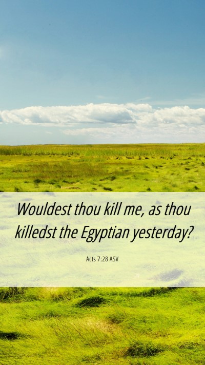 Picture 06 - Acts 7:28 ASV Mobile Phone Wallpaper - Wouldest thou kill me, as thou killedst the - Mobile Bible Verse Wallpaper