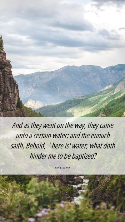 Picture 06 - Acts 8:36 ASV Mobile Phone Wallpaper - And as they went on the way, they came unto a - Mobile Bible Verse Wallpaper