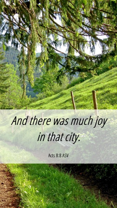 Picture 06 - Acts 8:8 ASV Mobile Phone Wallpaper - And there was much joy in that - Mobile Bible Verse Wallpaper
