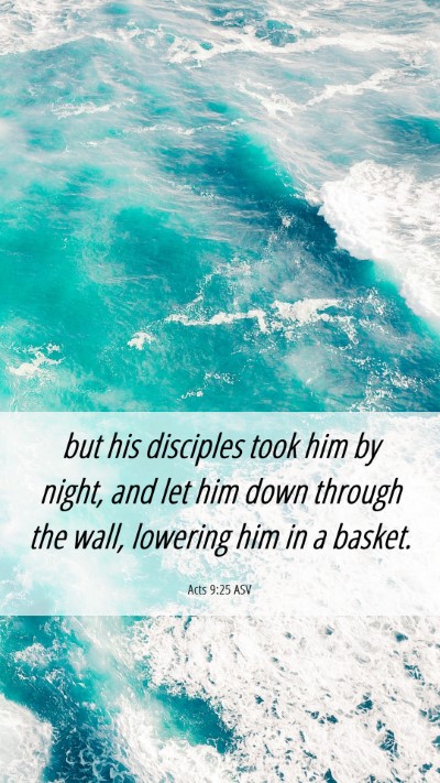 Picture 06 - Acts 9:25 ASV Mobile Phone Wallpaper - but his disciples took him by night, and let him - Mobile Bible Verse Wallpaper