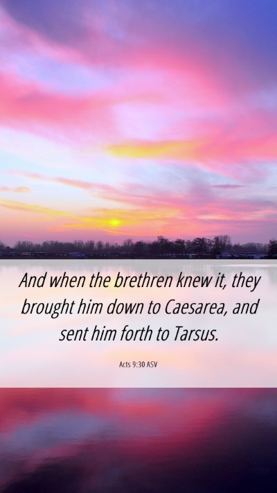 Picture 06 - Acts 9:30 ASV Mobile Phone Wallpaper - And when the brethren knew it, they brought him - Mobile Bible Verse Wallpaper