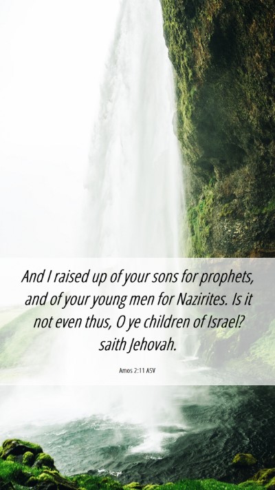 Picture 06 - Amos 2:11 ASV Mobile Phone Wallpaper - And I raised up of your sons for prophets, and of - Mobile Bible Verse Wallpaper
