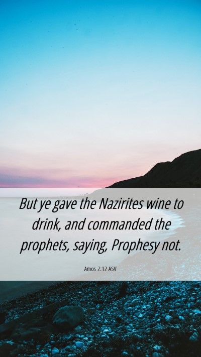 Picture 06 - Amos 2:12 ASV Mobile Phone Wallpaper - But ye gave the Nazirites wine to drink, and - Mobile Bible Verse Wallpaper