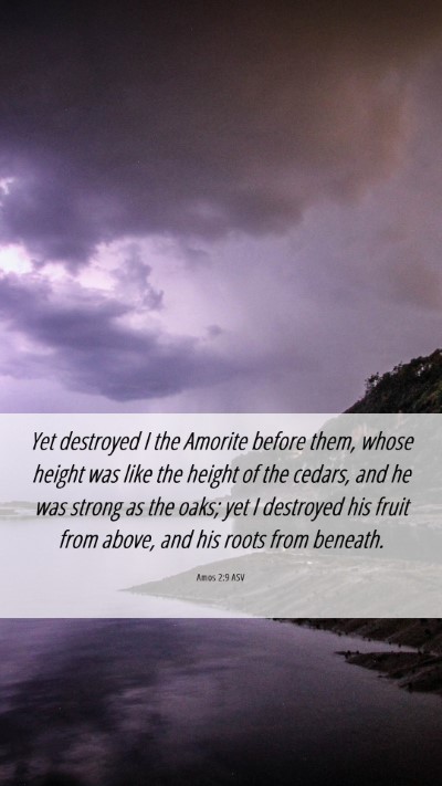 Picture 06 - Amos 2:9 ASV Mobile Phone Wallpaper - Yet destroyed I the Amorite before them, whose - Mobile Bible Verse Wallpaper