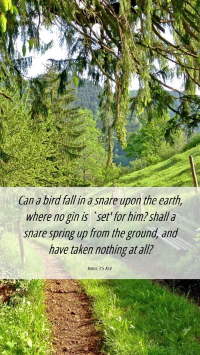 Picture 06 - Amos 3:5 ASV Mobile Phone Wallpaper - Can a bird fall in a snare upon the earth, where - Mobile Bible Verse Wallpaper