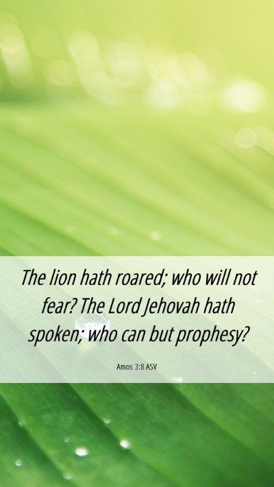 Picture 06 - Amos 3:8 ASV Mobile Phone Wallpaper - The lion hath roared; who will not fear? The Lord - Mobile Bible Verse Wallpaper