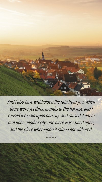 Picture 06 - Amos 4:7 ASV Mobile Phone Wallpaper - And I also have withholden the rain from you, - Mobile Bible Verse Wallpaper