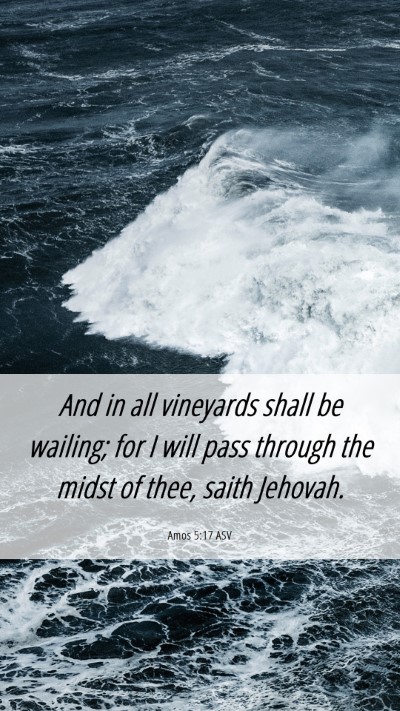 Picture 06 - Amos 5:17 ASV Mobile Phone Wallpaper - And in all vineyards shall be wailing; for I will - Mobile Bible Verse Wallpaper