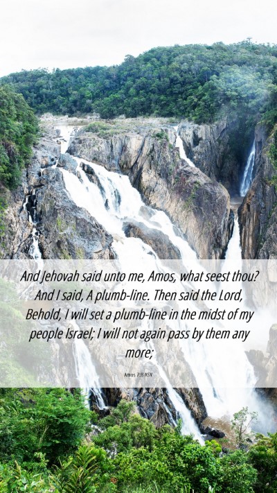 Picture 06 - Amos 7:8 ASV Mobile Phone Wallpaper - And Jehovah said unto me, Amos, what seest thou? - Mobile Bible Verse Wallpaper