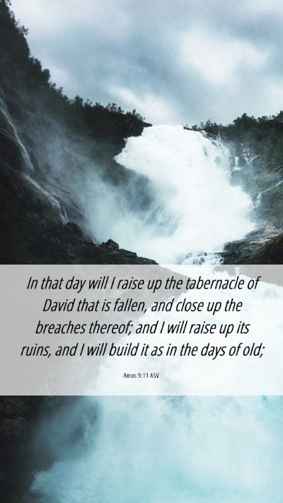 Picture 06 - Amos 9:11 ASV Mobile Phone Wallpaper - In that day will I raise up the tabernacle of - Mobile Bible Verse Wallpaper