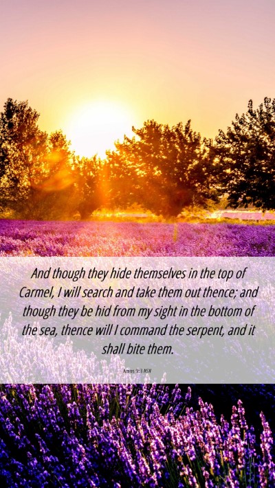 Picture 06 - Amos 9:3 ASV Mobile Phone Wallpaper - And though they hide themselves in the top of - Mobile Bible Verse Wallpaper