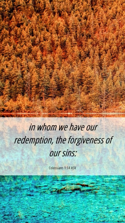 Picture 06 - Colossians 1:14 ASV Mobile Phone Wallpaper - in whom we have our redemption, the forgiveness - Mobile Bible Verse Wallpaper