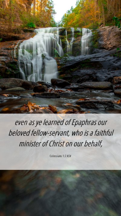 Picture 06 - Colossians 1:7 ASV Mobile Phone Wallpaper - even as ye learned of Epaphras our beloved - Mobile Bible Verse Wallpaper