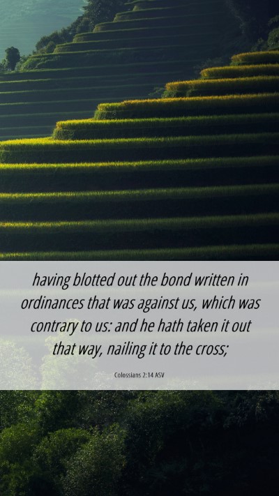 Picture 06 - Colossians 2:14 ASV Mobile Phone Wallpaper - having blotted out the bond written in ordinances - Mobile Bible Verse Wallpaper