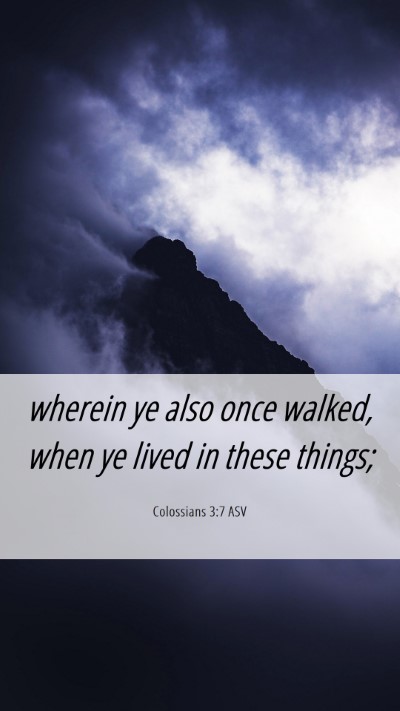 Picture 06 - Colossians 3:7 ASV Mobile Phone Wallpaper - wherein ye also once walked, when ye lived in - Mobile Bible Verse Wallpaper