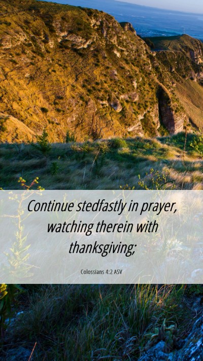 Picture 06 - Colossians 4:2 ASV Mobile Phone Wallpaper - Continue stedfastly in prayer, watching therein - Mobile Bible Verse Wallpaper