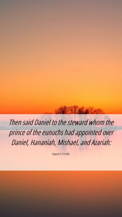 Picture 06 - Daniel 1:11 ASV Mobile Phone Wallpaper - Then said Daniel to the steward whom the prince - Mobile Bible Verse Wallpaper