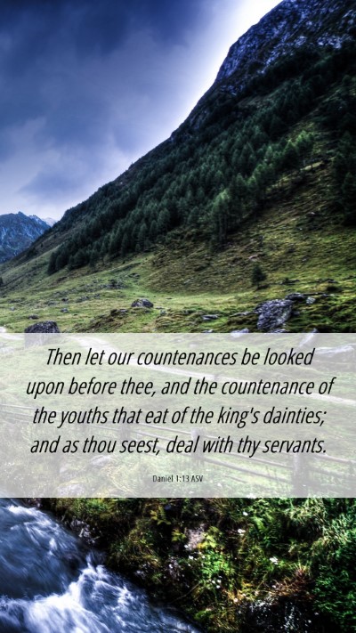 Picture 06 - Daniel 1:13 ASV Mobile Phone Wallpaper - Then let our countenances be looked upon before - Mobile Bible Verse Wallpaper