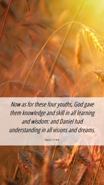 Picture 06 - Daniel 1:17 ASV Mobile Phone Wallpaper - Now as for these four youths, God gave them - Mobile Bible Verse Wallpaper