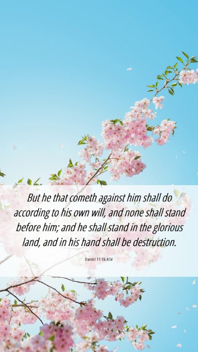 Picture 06 - Daniel 11:16 ASV Mobile Phone Wallpaper - But he that cometh against him shall do according - Mobile Bible Verse Wallpaper