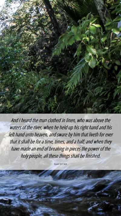Picture 06 - Daniel 12:7 ASV Mobile Phone Wallpaper - And I heard the man clothed in linen, who was - Mobile Bible Verse Wallpaper