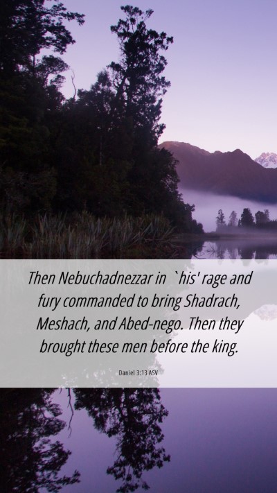 Picture 06 - Daniel 3:13 ASV Mobile Phone Wallpaper - Then Nebuchadnezzar in `his' rage and fury - Mobile Bible Verse Wallpaper