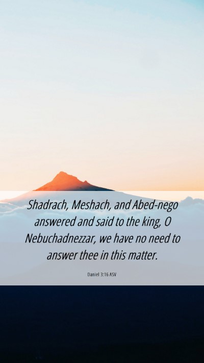 Picture 06 - Daniel 3:16 ASV Mobile Phone Wallpaper - Shadrach, Meshach, and Abed-nego answered and - Mobile Bible Verse Wallpaper