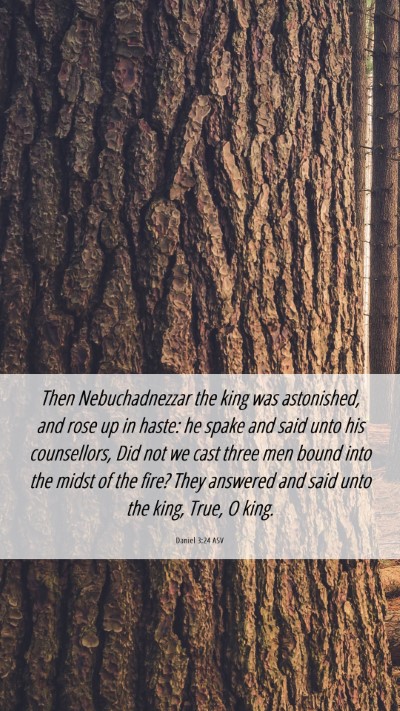 Picture 06 - Daniel 3:24 ASV Mobile Phone Wallpaper - Then Nebuchadnezzar the king was astonished, and - Mobile Bible Verse Wallpaper