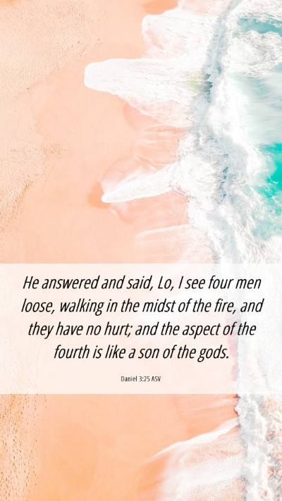 Picture 06 - Daniel 3:25 ASV Mobile Phone Wallpaper - He answered and said, Lo, I see four men loose, - Mobile Bible Verse Wallpaper