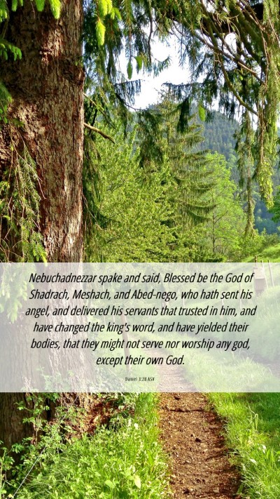 Picture 06 - Daniel 3:28 ASV Mobile Phone Wallpaper - Nebuchadnezzar spake and said, Blessed be the God - Mobile Bible Verse Wallpaper