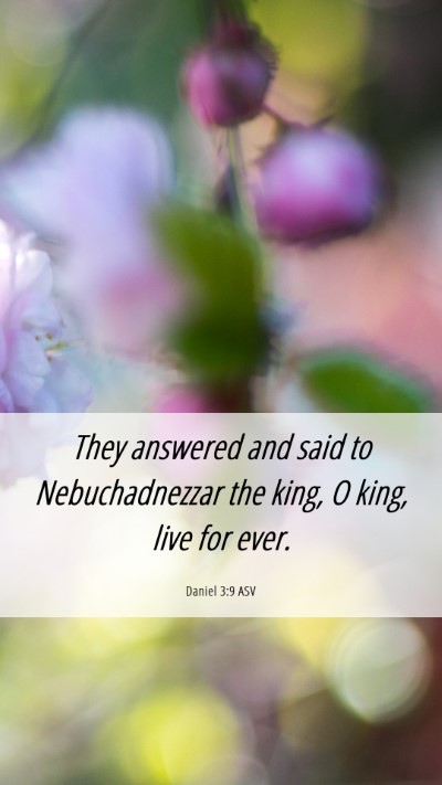 Picture 06 - Daniel 3:9 ASV Mobile Phone Wallpaper - They answered and said to Nebuchadnezzar the - Mobile Bible Verse Wallpaper