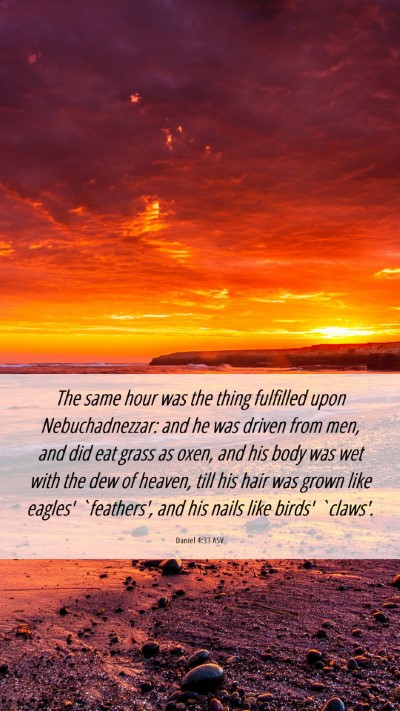 Picture 06 - Daniel 4:33 ASV Mobile Phone Wallpaper - The same hour was the thing fulfilled upon - Mobile Bible Verse Wallpaper