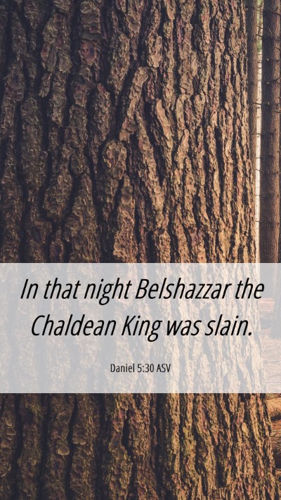 Picture 06 - Daniel 5:30 ASV Mobile Phone Wallpaper - In that night Belshazzar the Chaldean King was - Mobile Bible Verse Wallpaper