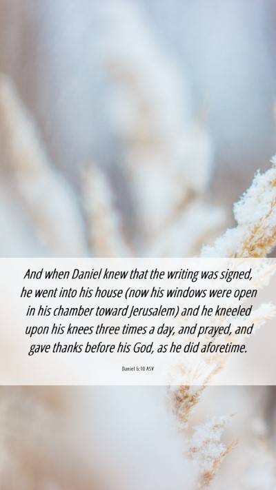 Picture 06 - Daniel 6:10 ASV Mobile Phone Wallpaper - And when Daniel knew that the writing was signed, - Mobile Bible Verse Wallpaper
