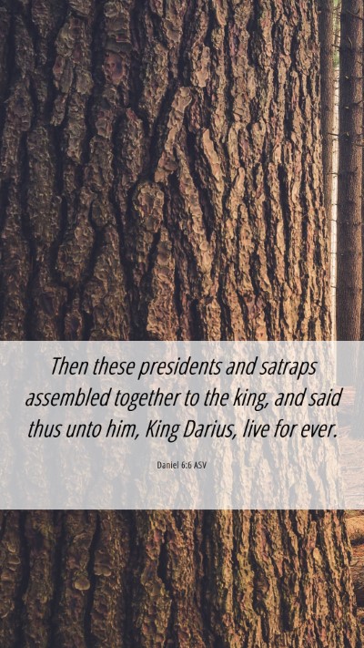 Picture 06 - Daniel 6:6 ASV Mobile Phone Wallpaper - Then these presidents and satraps assembled - Mobile Bible Verse Wallpaper
