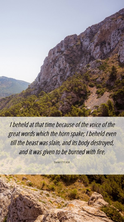 Picture 06 - Daniel 7:11 ASV Mobile Phone Wallpaper - I beheld at that time because of the voice of the - Mobile Bible Verse Wallpaper