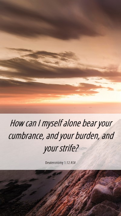 Picture 06 - Deuteronomy 1:12 ASV Mobile Phone Wallpaper - How can I myself alone bear your cumbrance, and - Mobile Bible Verse Wallpaper
