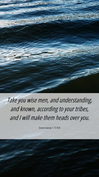 Picture 06 - Deuteronomy 1:13 ASV Mobile Phone Wallpaper - Take you wise men, and understanding, and known, - Mobile Bible Verse Wallpaper