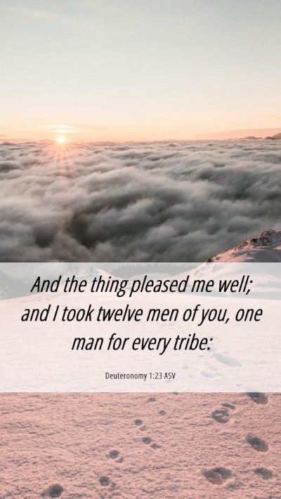 Picture 06 - Deuteronomy 1:23 ASV Mobile Phone Wallpaper - And the thing pleased me well; and I took twelve - Mobile Bible Verse Wallpaper