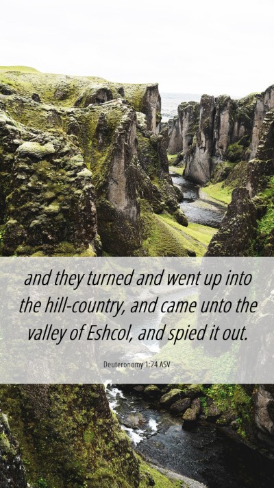 Picture 06 - Deuteronomy 1:24 ASV Mobile Phone Wallpaper - and they turned and went up into the - Mobile Bible Verse Wallpaper