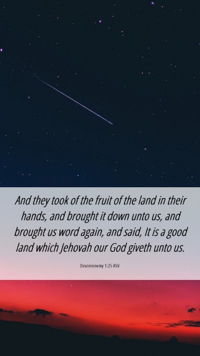 Picture 06 - Deuteronomy 1:25 ASV Mobile Phone Wallpaper - And they took of the fruit of the land in their - Mobile Bible Verse Wallpaper
