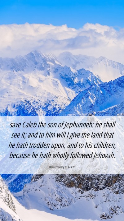 Picture 06 - Deuteronomy 1:36 ASV Mobile Phone Wallpaper - save Caleb the son of Jephunneh: he shall see it; - Mobile Bible Verse Wallpaper